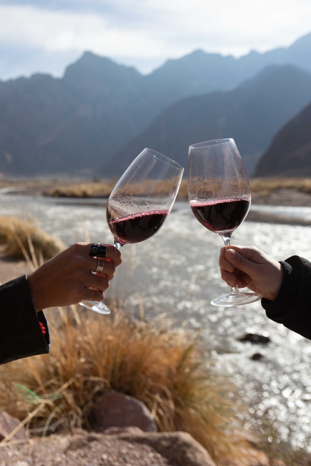 Viñedos de Mendoza